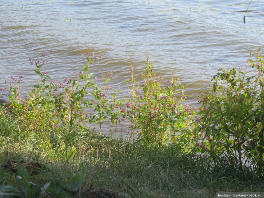 Ratti дома полвека спустя (фото 3)