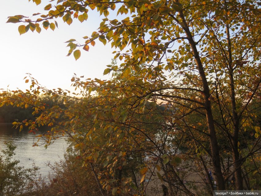 3 сентября 2024 Аским у реки (фото 3)