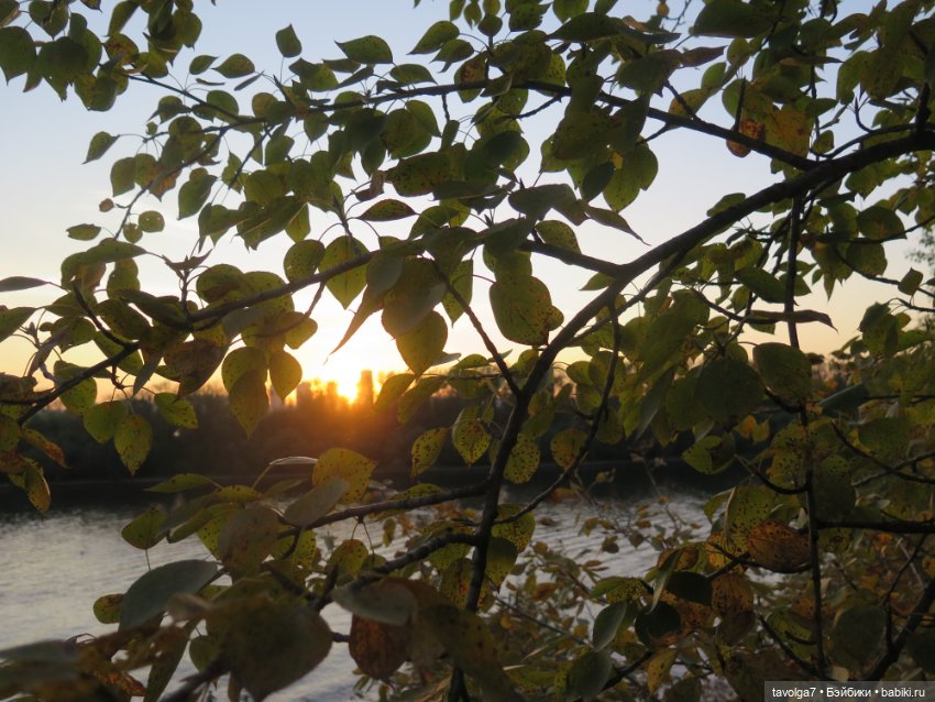 3 сентября 2024 Аским у реки (фото 8)