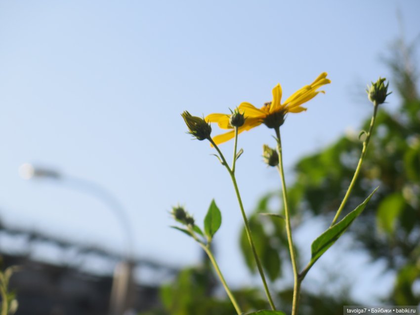 Ratti дома полвека спустя (фото 9)