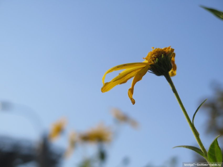 Ratti дома полвека спустя (фото 10)