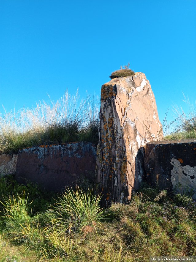 Салбыкский курган — Куклы Helen Kish (Хелен Киш): Riley (Райли)