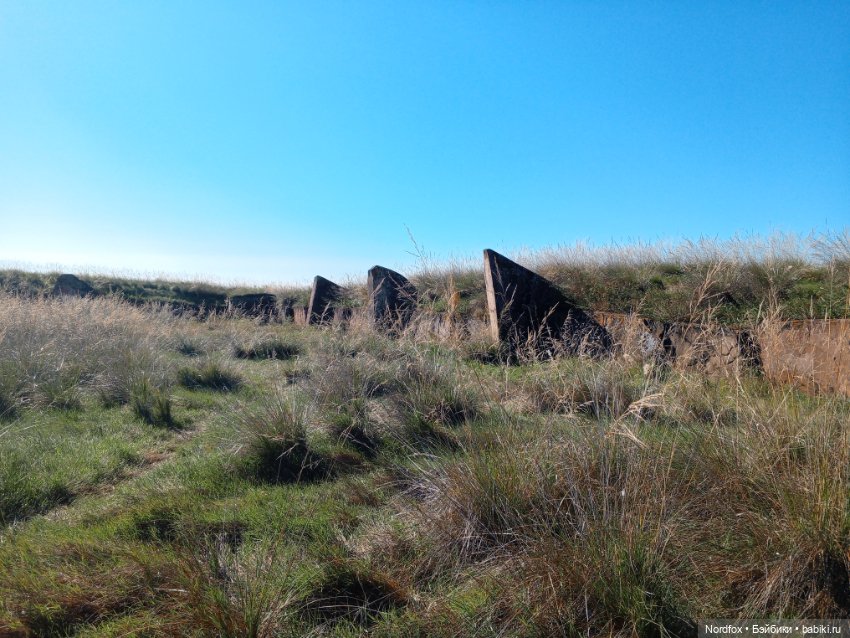 Салбыкский курган — Куклы Helen Kish (Хелен Киш): Riley (Райли)