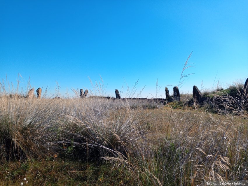 Салбыкский курган — Куклы Helen Kish (Хелен Киш): Riley (Райли) (фото 7)