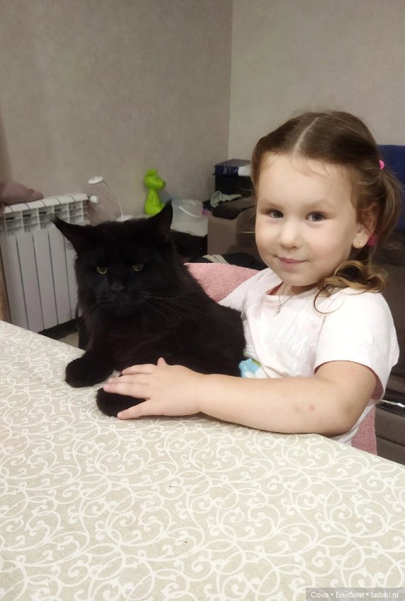 Начало предзаказа на мою шарнирную куклу, модель Тата