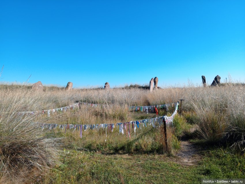 Салбыкский курган — Куклы Helen Kish (Хелен Киш): Riley (Райли) (фото 8)