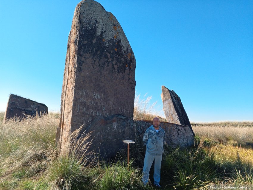 Салбыкский курган — Куклы Helen Kish (Хелен Киш): Riley (Райли) (фото 3)
