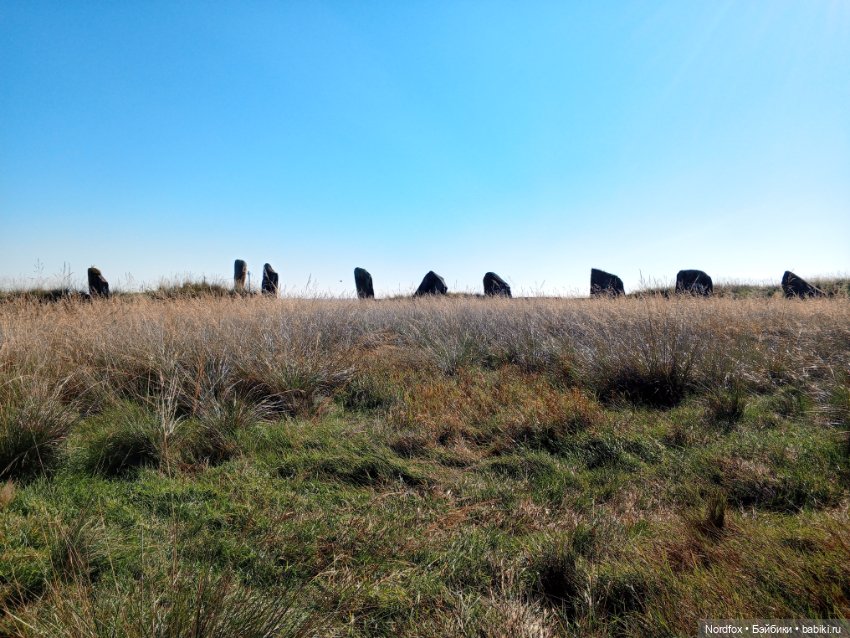 Салбыкский курган — Куклы Helen Kish (Хелен Киш): Riley (Райли)