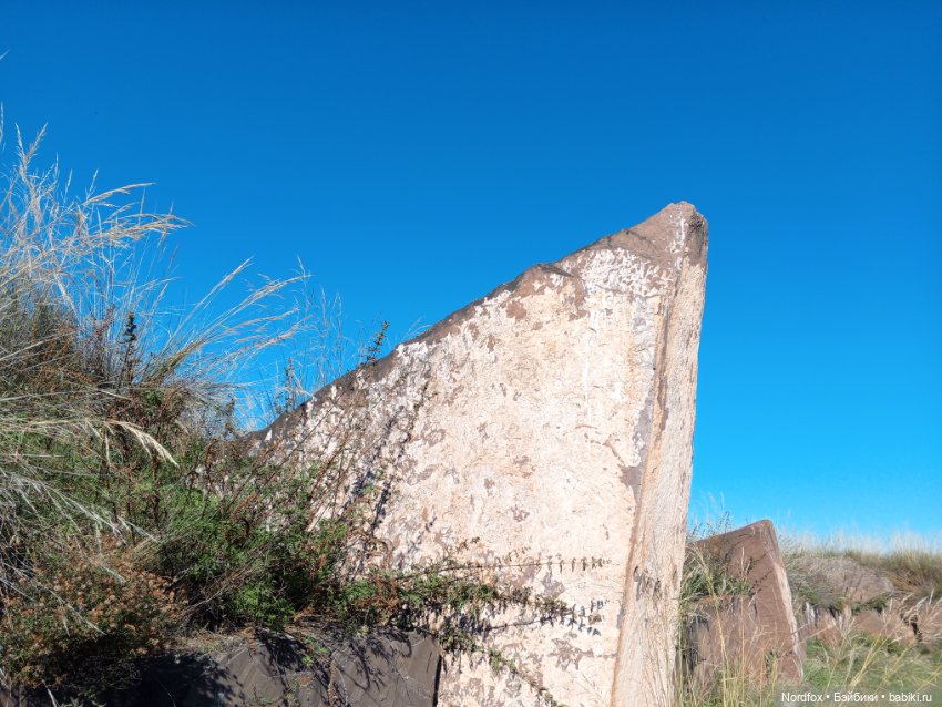 Салбыкский курган — Куклы Helen Kish (Хелен Киш): Riley (Райли) (фото 9)