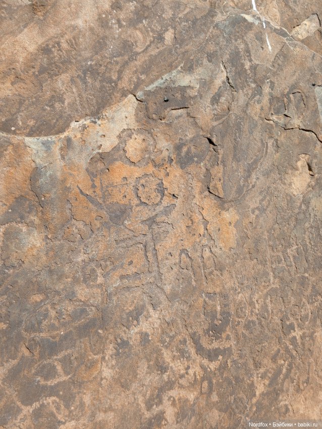 Салбыкский курган — Куклы Helen Kish (Хелен Киш): Riley (Райли)