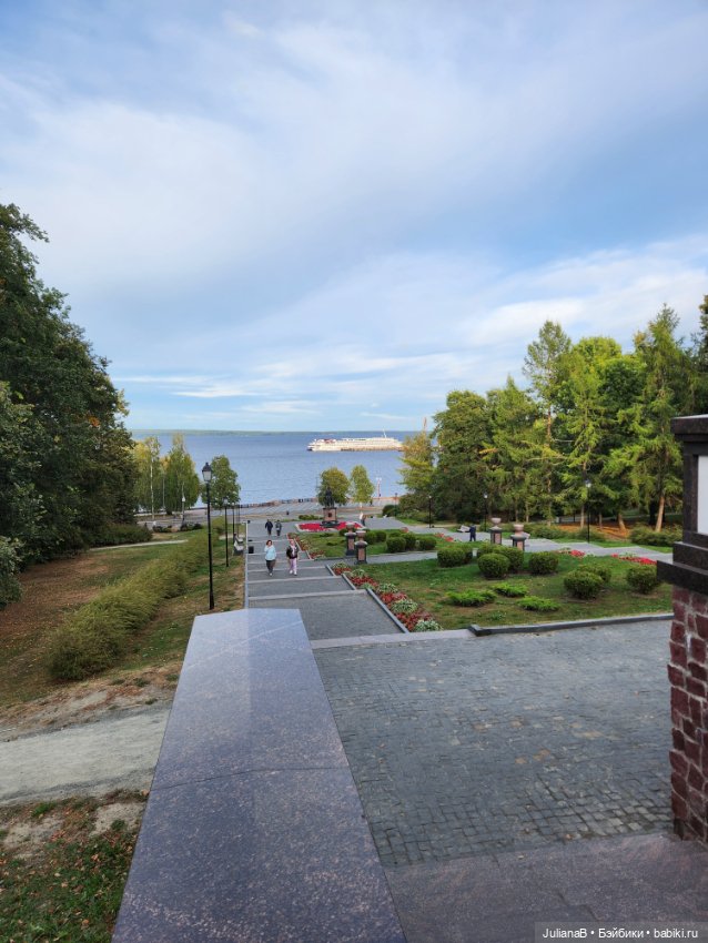 Мышь лабораторная. Карелия (фото 8)