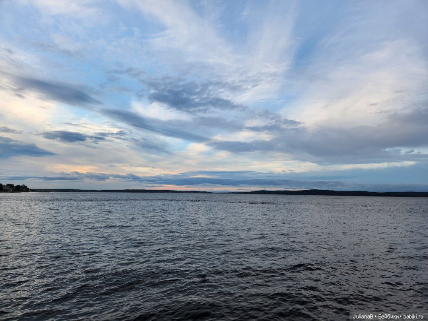 Мышь лабораторная. Карелия (фото 9)