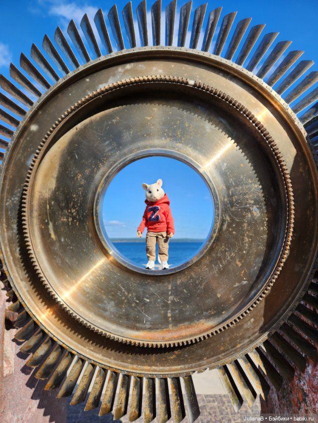 Мышь лабораторная. Карелия (фото 5)