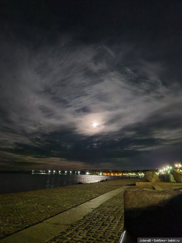 Мышь лабораторная. Карелия (фото 10)