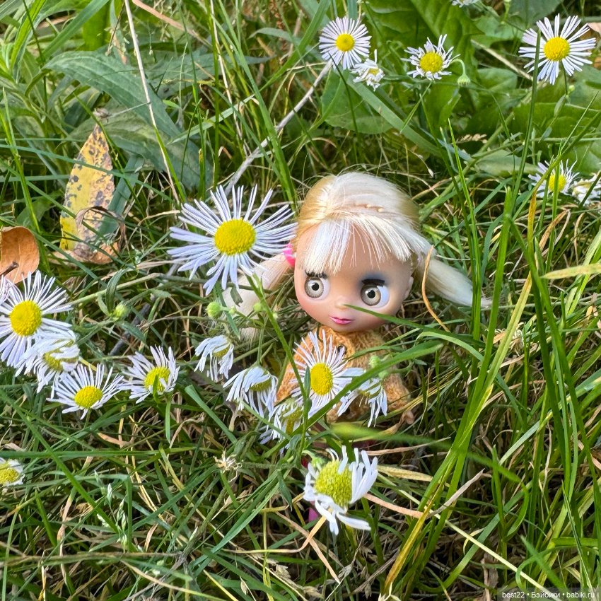 Мини Blythe 🍭 — Оригинальные куклы Blythe (Блайз): Takara (фото 5)
