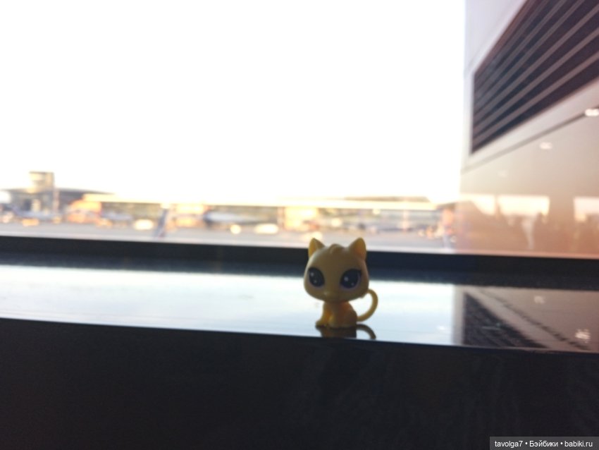 Балтика сентябрь 2024 — Туризм и путешествия: фотоотчеты из поездок (фото 2)