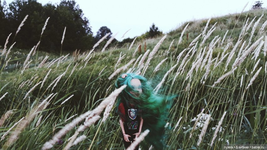 ๑Emerald๑ — Куклы Monster High и Ever After High: G1 (фото 2)