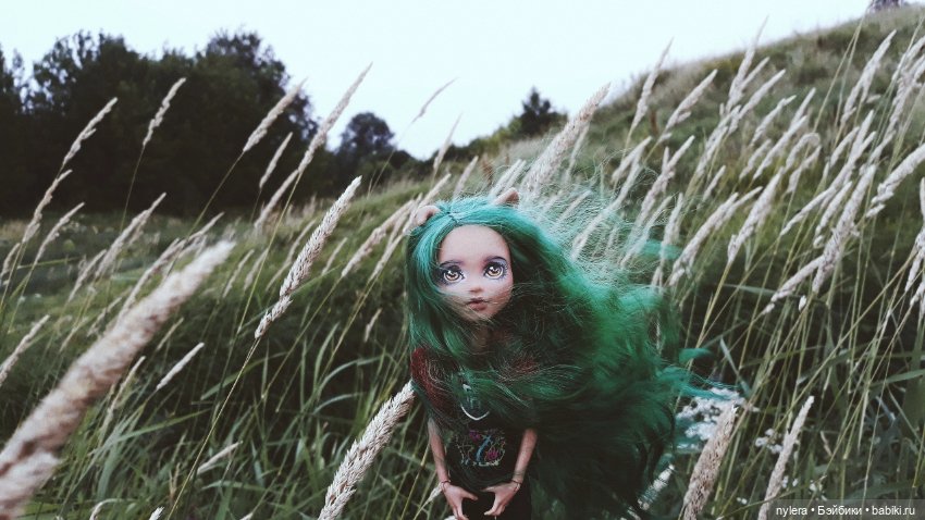 ๑Emerald๑ — Куклы Monster High и Ever After High: G1 (фото 3)