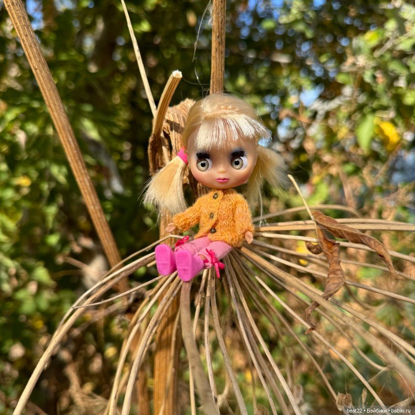 Мини Blythe 🍭 — Оригинальные куклы Blythe (Блайз): Takara (фото 10)