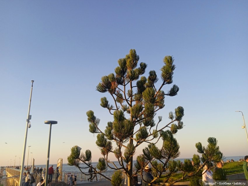 Немного Балтики с смартфона