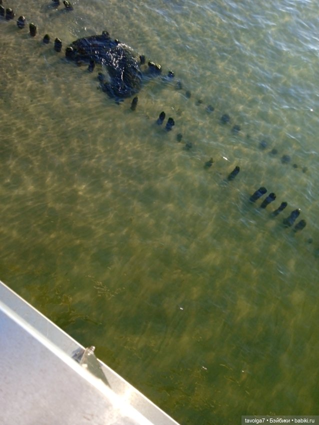 Немного Балтики с смартфона