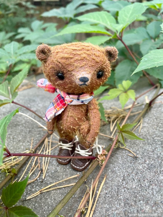 Тедди персонажи Маши Алёшиной