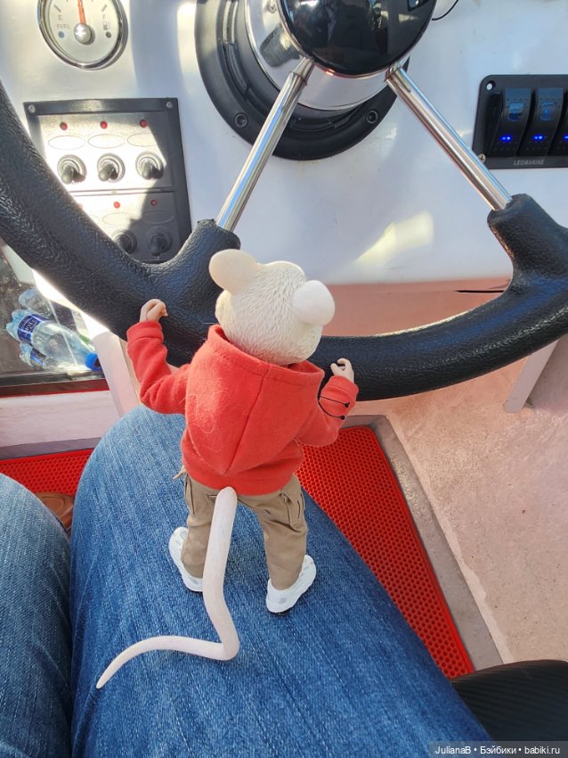 Мышь лабораторная. Карелия. Онега (фото 7)