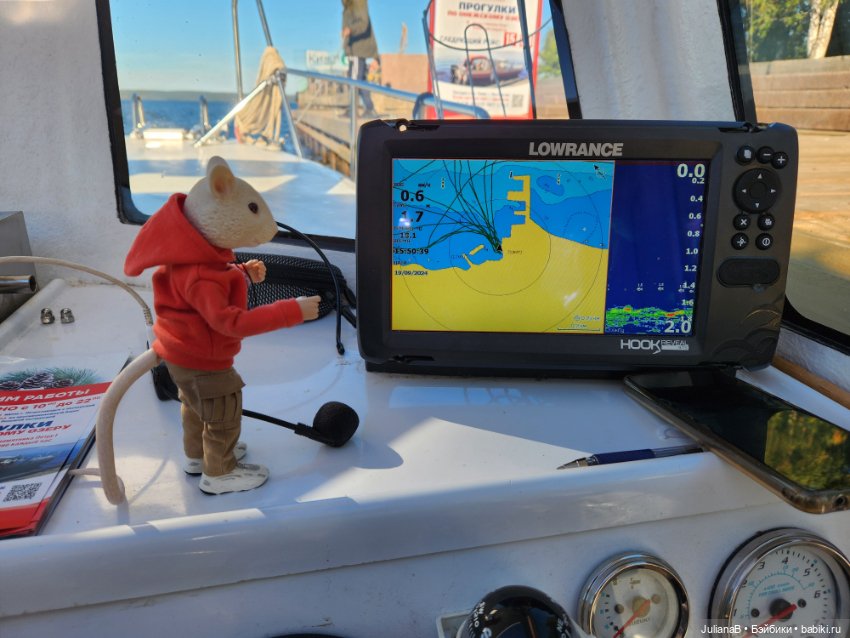 Мышь лабораторная. Карелия. Онега (фото 6)