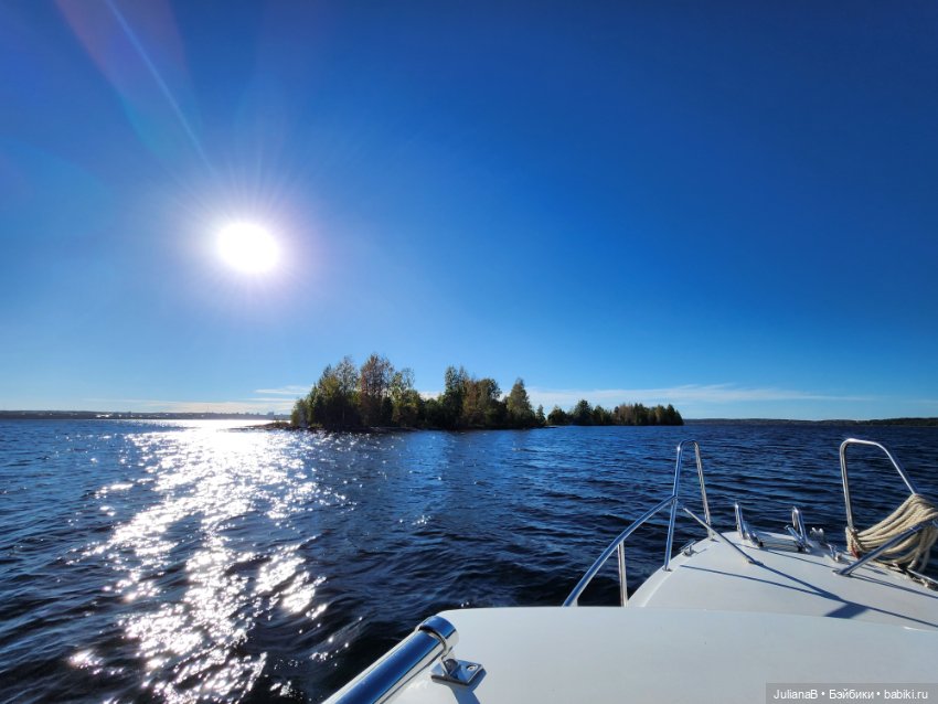 Мышь лабораторная. Карелия. Онега (фото 4)