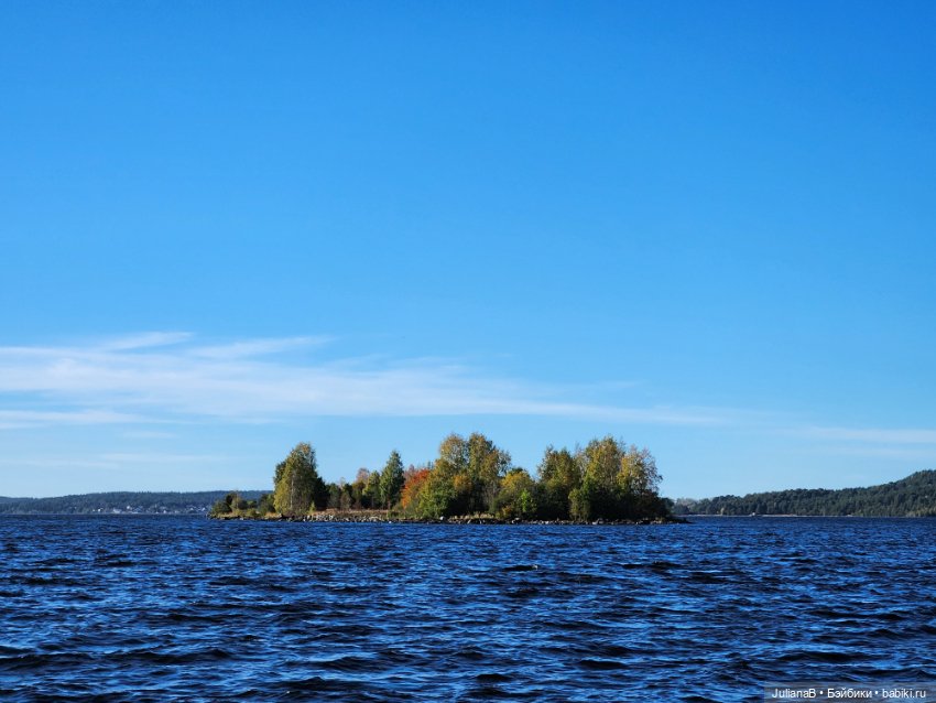 Мышь лабораторная. Карелия. Онега (фото 3)
