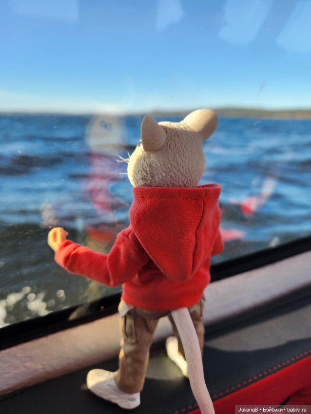 Мышь лабораторная. Карелия. Онега (фото 2)