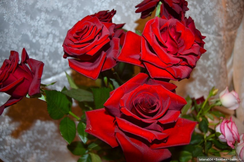 Осень, где ты? Снова лето