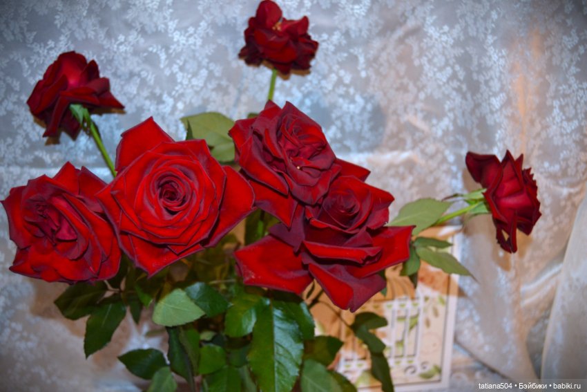 Осень, где ты? Снова лето (фото 6)