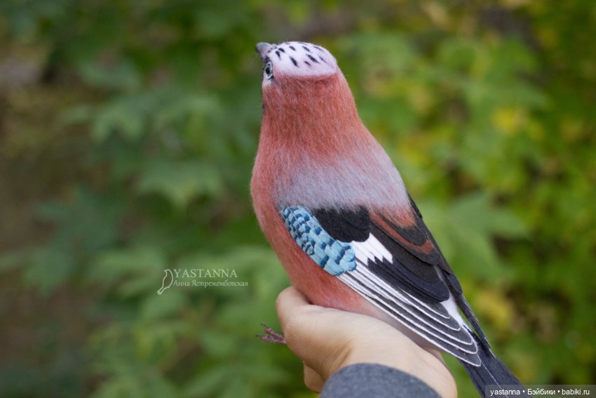 Сойка — Валяные игрушки из шерсти: сухое валяние