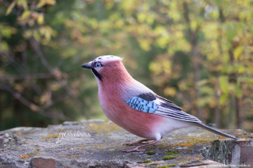 Сойка — Валяные игрушки из шерсти: сухое валяние (фото 5)