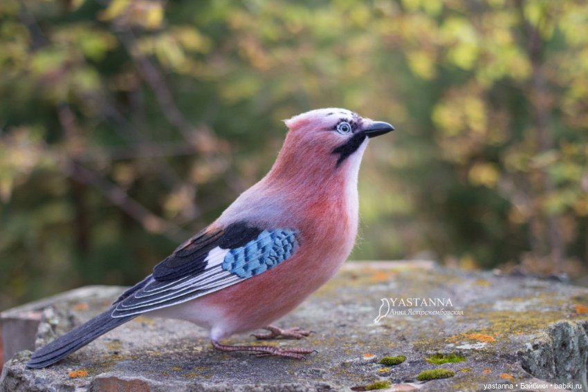 Сойка — Валяные игрушки из шерсти: сухое валяние (фото 3)