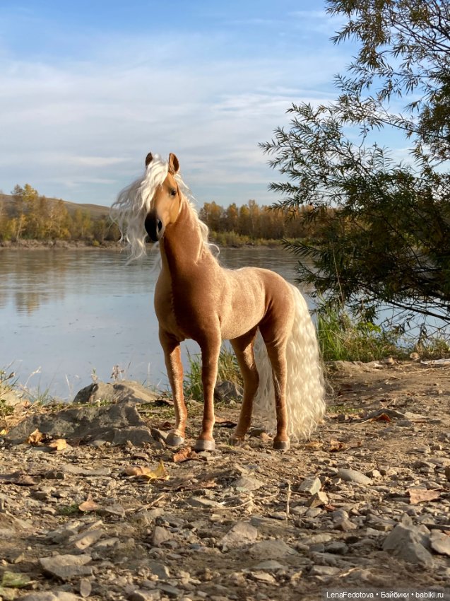 Соловая лошадка Метелька и моя любимая Пышка