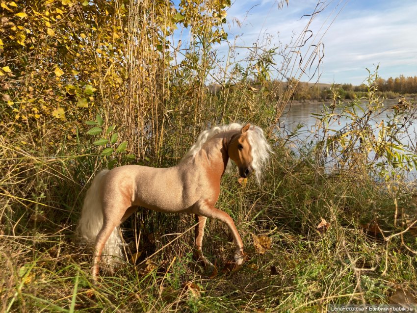 Соловая лошадка Метелька и моя любимая Пышка (фото 9)