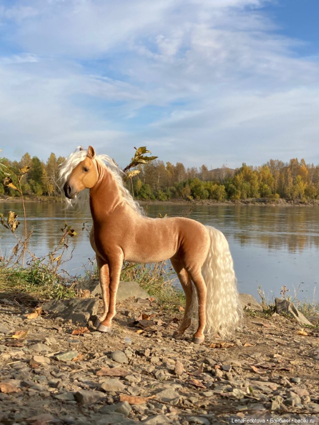 Соловая лошадка Метелька и моя любимая Пышка