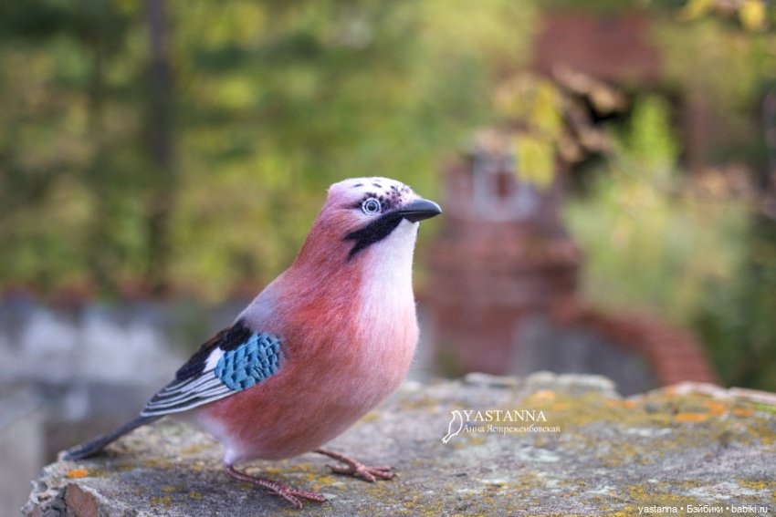 Сойка — Валяные игрушки из шерсти: сухое валяние (фото 2)