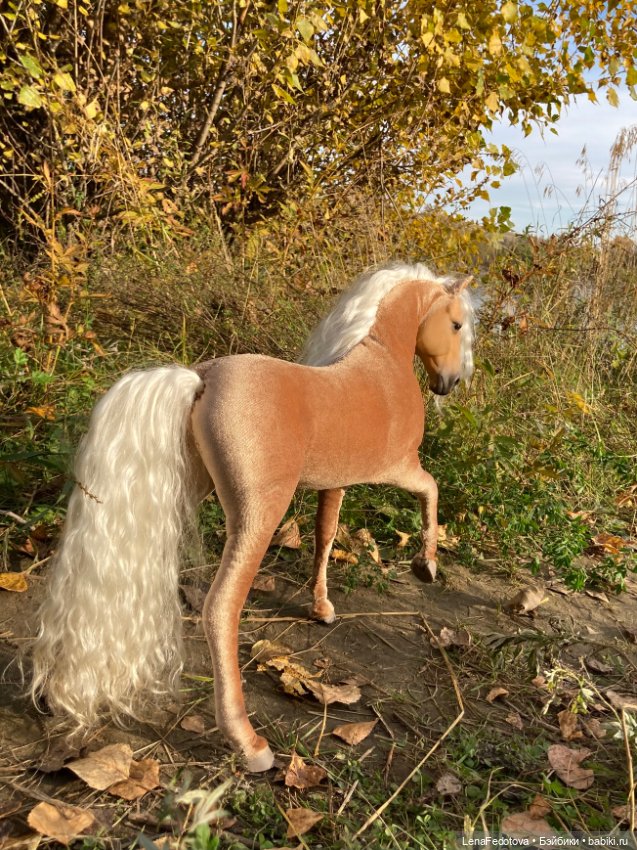 Соловая лошадка Метелька и моя любимая Пышка (фото 8)