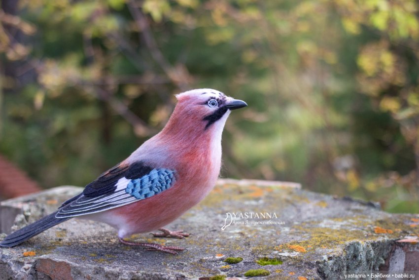 Сойка — Валяные игрушки из шерсти: сухое валяние