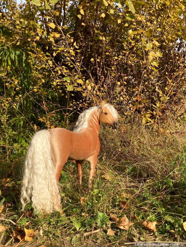 Соловая лошадка Метелька и моя любимая Пышка (фото 2)