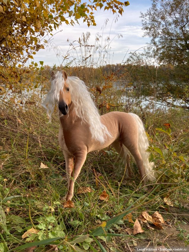 Соловая лошадка Метелька и моя любимая Пышка (фото 6)