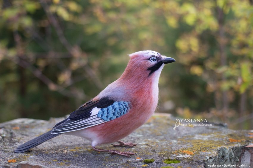 Сойка — Валяные игрушки из шерсти: сухое валяние (фото 7)