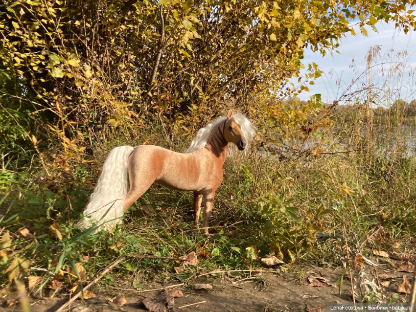 Соловая лошадка Метелька и моя любимая Пышка