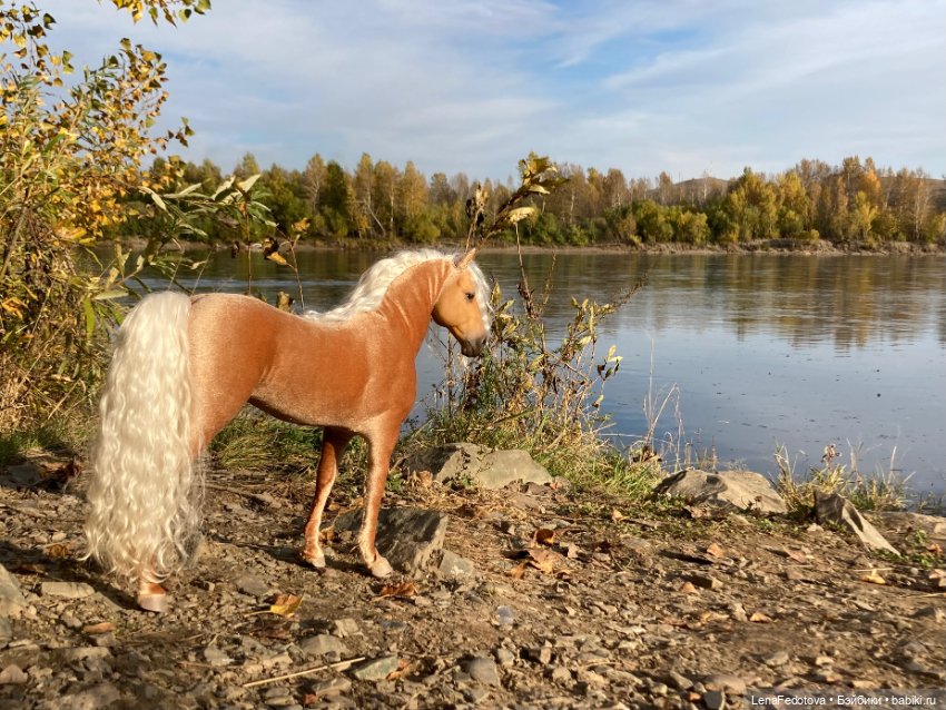 Соловая лошадка Метелька и моя любимая Пышка