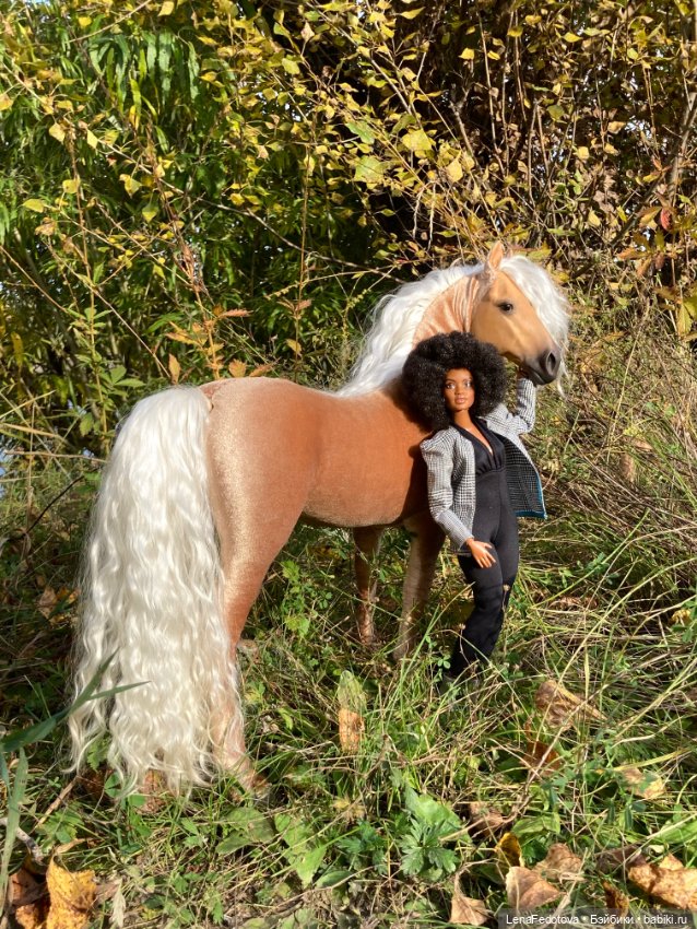 Соловая лошадка Метелька и моя любимая Пышка (фото 3)