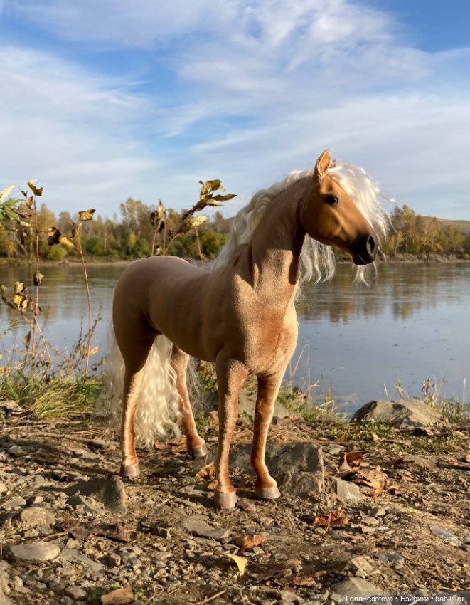 Соловая лошадка Метелька и моя любимая Пышка