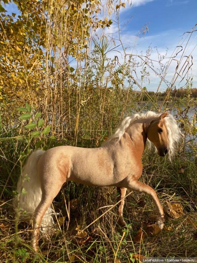 Соловая лошадка Метелька и моя любимая Пышка (фото 10)